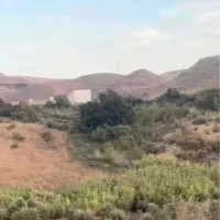 11-هکتار-زمین-سند-تک-برگ-باغ-زیتون-مناسب-مرغداری