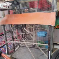 دو عدد قفس بزرگ آهنی