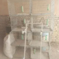 قفس ۸خان جوجه پرون|لوازم جانبی حیوانات|اقلید, |دیوار