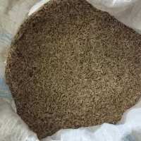 شالی دله درجه یک|خوردنی و آشامیدنی|سنگدوین, |دیوار