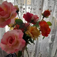 چندشاخه گل