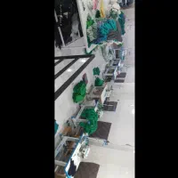 کراپ کبریتی زنونه فقط ۵۵ تومان|لباس|مشکیندشت, |دیوار