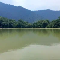 مسافردربست تهران شمال گرگان تاکسی سواری آژانس رانن|خدمات حمل و نقل|مشهد, فرهنگیان (شهرک غرب)|دیوار