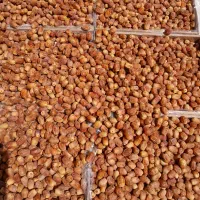 خرما|خوردنی و آشامیدنی|برازجان, |دیوار