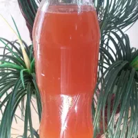 آبغوره طبیعی