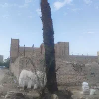 برش‌وقطع درخت