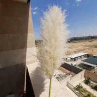 گل طبیعی|گل و گیاه طبیعی|شیراز, احمدآباد|دیوار