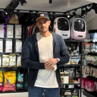 گربه بریتیش