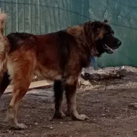 سرابی ذات قدیم