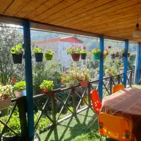 اجاره سوئیت کلبه جنگلی ویلا جنگلی