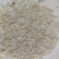 برنج فجر نوراباد|خوردنی و آشامیدنی|شیراز, فرهنگیان|دیوار