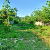 زمین-مسکونی-کوهپایه-ای-439متر-سند-تک-برگ