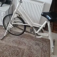 دوچرخه ثابت