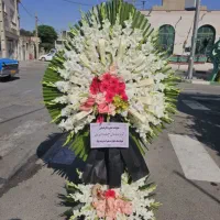 خدمات مراسم(گل|گل و گیاه طبیعی|تهران, نیلوفر|دیوار