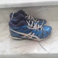 کفش والیبال|کیف، کفش، کمربند|صدرا-فارس, فاز ۱|دیوار