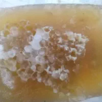 ژل رویال|خوردنی و آشامیدنی|قم, بلوار امین و ساحلی|دیوار