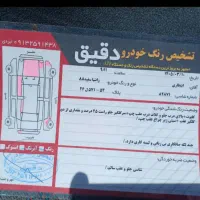 زانتیا سفید درجه یک