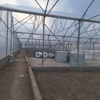 گلخانه 5800متر چهاردیواری شده|فروش دفتر صنعتی، کشاورزی، تجاری|رباط‌کریم, پیغمبر|دیوار