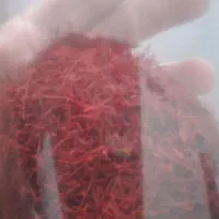 عضو شو،هدیه بگیر