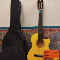 گیتار دیامونداصلی به همراه تمام لوازم