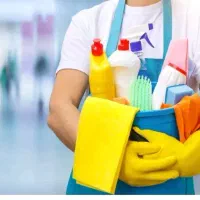 نظافت  اساس کشی