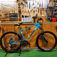 دوچرخه جاینت فوجی مریدا