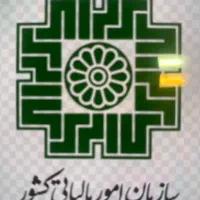 ارسال اظهارنامه اشخاص حقیقی تبصره ۱۰۰