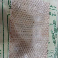 پخش نان لواش عمده سیاهکل کوچصفهان|عمده‌فروشی|سنگر, |دیوار