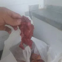 گوشتگوسالهعمدهکشتارگاهکشتارروز چرخ کرده دنبه|عمدهفروشی|کرج, محمد آباد|دیوار