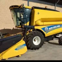 نیوهلند و جاندیر