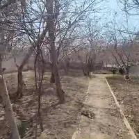 باغچه میوه معاوضه با آپارتمان|فروش زمین و ملک کلنگی|تهران, بهاران|دیوار