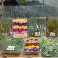 انواع سبزیجات ایرانی وفرنگی|خوردنی و آشامیدنی|تهران, سردارجنگل|دیوار