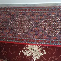 فرش دستبافت|فرش|سنندج, |دیوار