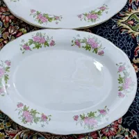 6عدد دیس گل سرخ لب طلا