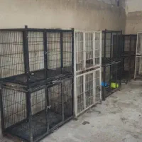 قفس سگ|لوازم جانبی حیوانات|محمدشهر, شهرک چمران|دیوار