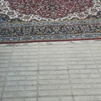 فرش 12متری|فرش|نهاوند, |دیوار
