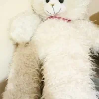 خرس بزرگ و اردک  هر کدوم کامل سالم درحدنوقیمت ۷۰۰