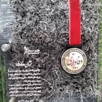 موکت ظریف مصور