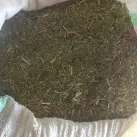کاه جاشیر