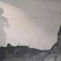 تخریب حرفه ایی