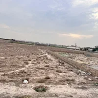 زمین|فروش زمین و ملک کلنگی|قرچک, صالح آباد|دیوار