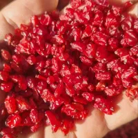 زرشک اعلا درجه یک