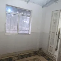 کارگر در باغ زیتون با خانه مسکونی|استخدام سرایداری و نظافت|رشت, حومه رشت|دیوار