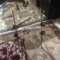 طلق در حد نوع