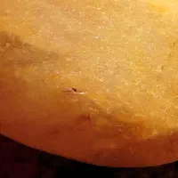 جواهرات سنگ زمرد با ارزش|بدلیجات|تهران, آبشار|دیوار