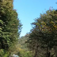 حواله خودرو