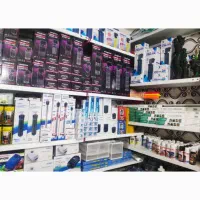 آکواریوم دلفین|ماهی|چابهار, |دیوار