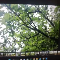 فروش خانه باغ طزرجان زیر قیمت بازار به علت مهاجرت|فروش خانه و ویلا|تفت, |دیوار