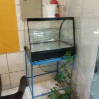 گرم کن ساندویچ نو