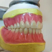 آموزش دندانسازی و کامپوزیت دندان|خدمات آموزشی|کرج, کوی کارمندان شمالی|دیوار